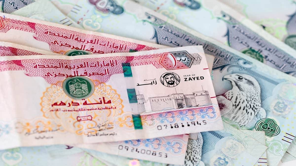 سلم رواتب الموظفين الجدد في الحكومة الاتحادية الإماراتية 2025
